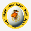 EGGYBSC