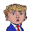 Mini Donald