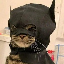 batcat