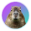 Capybara