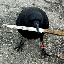 crow with knife