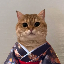 Cat Own Kimono