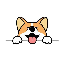 Corgidoge