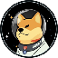 Satellite Doge-1 Mission