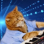 Keyboard Cat