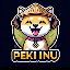 PEKI INU